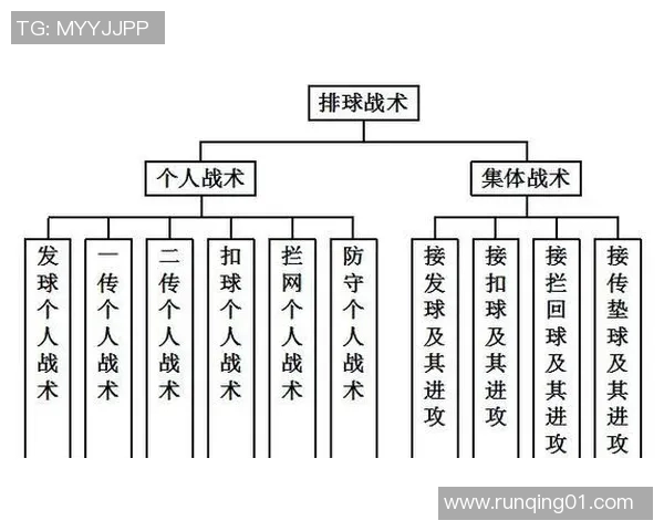 武汉排球队快攻战术解析与深度剖析助力排球水平提升 武汉排球队快攻战术解析与深度剖析助力排球水平提升