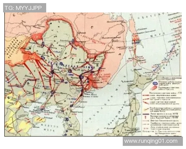 深入分析上海排球队防守策略与战术特点的专业解读