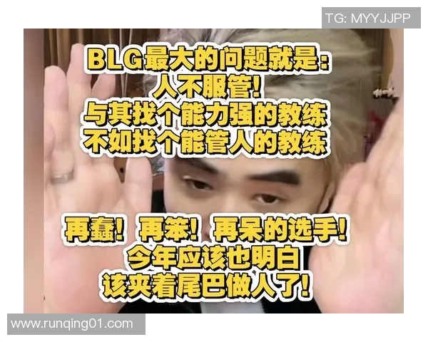 数据分析:BLG的个人能力表现 数据分析:BLG的个人能力表现